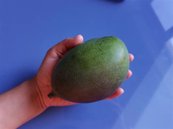 胡萝卜素是菠萝的45倍 这种水果现在吃正好