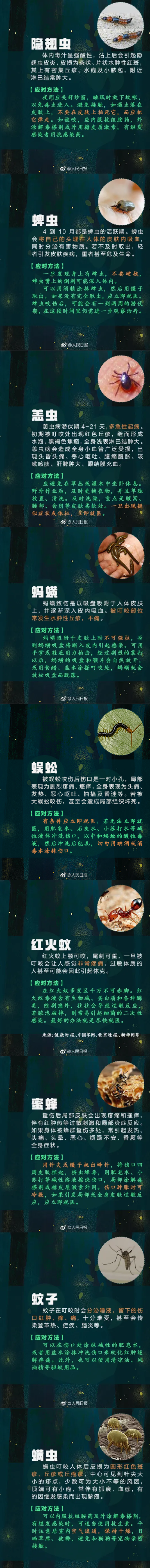 深圳一女子被恙螨咬后高烧3天：出现感染性休克