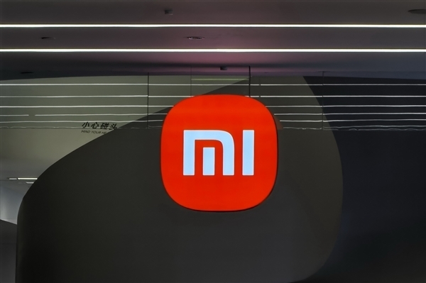 小米在欧盟：加班是一种风险